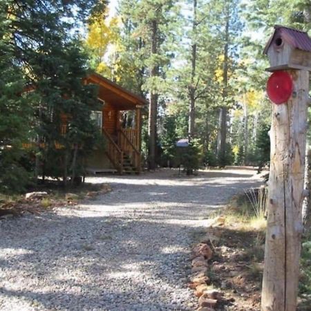 Adventure Awaits 3King Bed,2Bath Log Cabin In Heart Of Duck Creek Village! Esterno foto