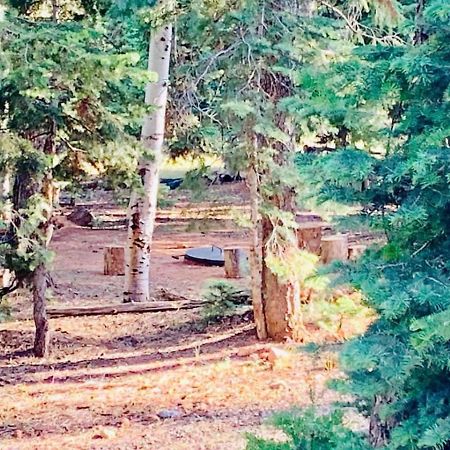 Adventure Awaits 3King Bed,2Bath Log Cabin In Heart Of Duck Creek Village! Esterno foto
