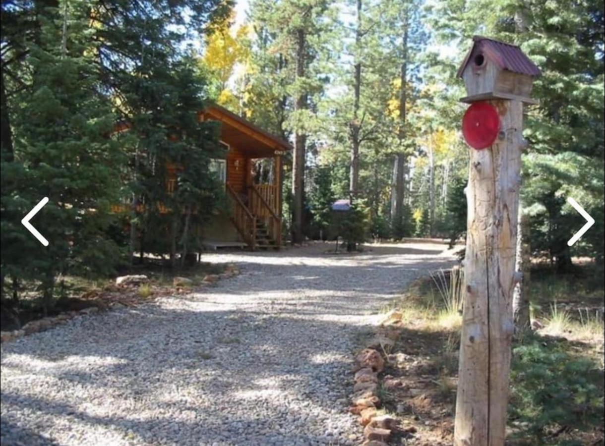 Adventure Awaits 3King Bed,2Bath Log Cabin In Heart Of Duck Creek Village! Esterno foto